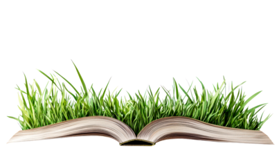 Open Book Surrounded by Lush Green Grass Isolate on Transparent Background, cutout, png