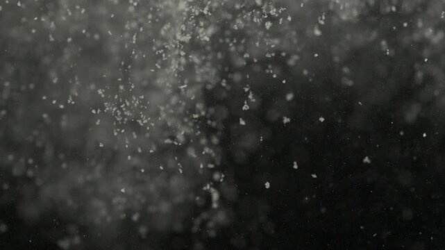Dust falling down shower snow snows flying. black background isolated. Spray water particles on wind - Powered by Adobe