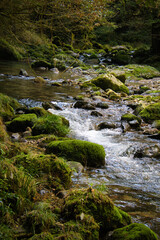 Obraz premium 山間の青く美しい清らかなせせらぎ