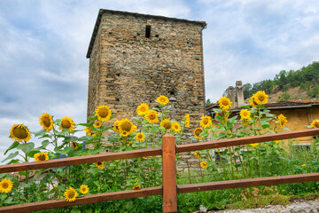 medieval Vachery Tower in the Aosta valley, located in the picturesque hamlet of Vachéry, municipality of Etroubles, Italy