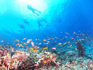 Obraz premium 宮古島の海でシュノーケル、家族の思い出