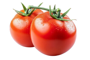 juicy red tomatoes on vine isolated