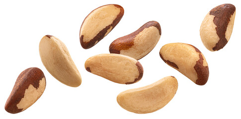 Obraz premium Falling brazil nuts isolated on white background