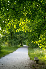 Linde (Tilia), Landschaftsgarten, UNESCO Weltkulturerbe, Lednice