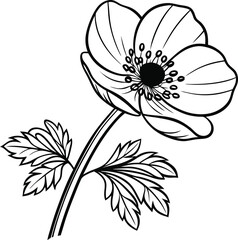 anemone flower isolated on transparent background