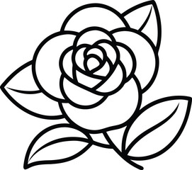 Camellia flower vector illustration on transparent background