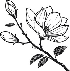 magnolia flower outline icon vector illustration on transparent background