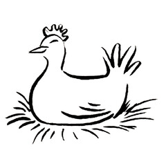 Poule sur le nid