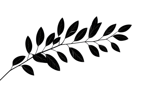 Elegant botanical twig with intricate leaf venation, cut out transparent