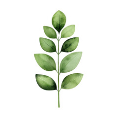 Obraz premium A beautiful watercolor illustration of a green leaf branch showcasing nature's beauty. transparent background.