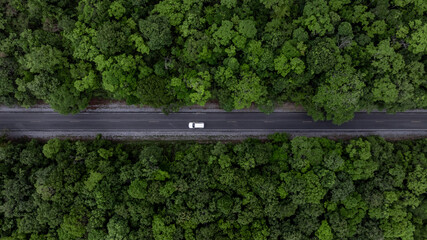 Car on forest road in deep rain forest with green tree forest view from above, Top view car in the forest on asphalt road and forest tree, Asphalt road in middle green tree.