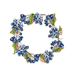 Aronia berry circle frame in watercolor with colorful leaves isolated on white. Botanical wreath with black chokeberry design for seasonal greeting cards, food branding, and organic product labels.