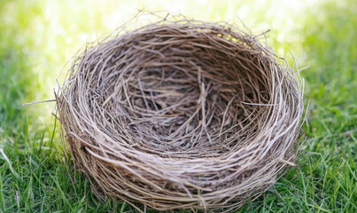 Empty bird's nest on lush green grass, springtime nature scene.  Perfect for nature, spring, or new beginnings themes.