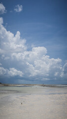 A beautiful beach in Zanzibar, Tanzania