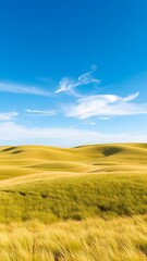 Obraz premium Rolling Golden Hills Under Azure Sky
