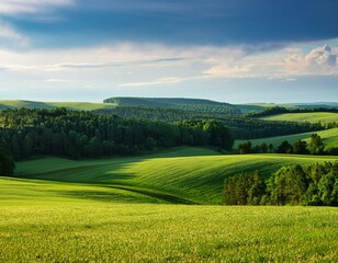 Summer landscape with hilly green field and forest in the distance