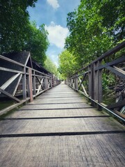 Obraz premium A dramatic scene of a wooden pedestrian bridge in the natural tourism area