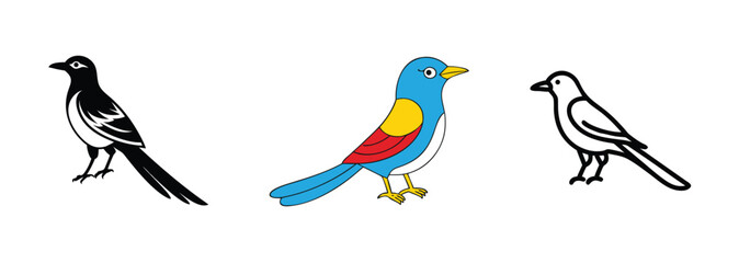 Three Bird Illustrations Magpie, Bluebird, and Wagtail Designs