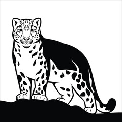 Elegant black and white snow leopard silhouette.