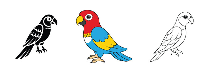 Fototapeta premium Colorful Parrot Illustrations Black, Color, Outline Drawings