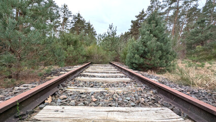 Abandoned railway tracks overtaken by lush forest vegetation, perspective view illustrating...