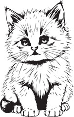 Cute kitten. Hand drawn vector illustration