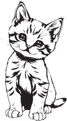 Cute kitten. Hand drawn vector illustration