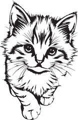 Cute kitten. Hand drawn vector illustration