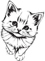Cute kitten. Hand drawn vector illustration