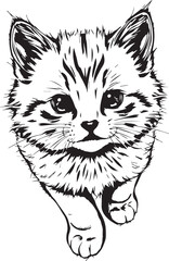 Cute kitten. Hand drawn vector illustration