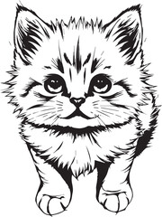 Cute kitten. Hand drawn vector illustration