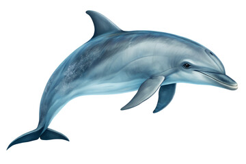 Obraz premium Dolphin isolated on transparent background