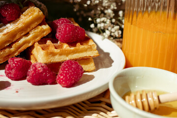 Juicy waffles drizzled with honey, topped with fresh raspberries and basil leaves, served on a straw tray on grass. A perfect picnic treat with a glass of juice, full of vitamins  for a warm day