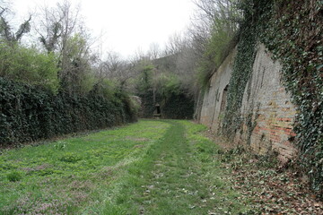 Overgrown passage along the fortress walls of Petrovaradin in Novi Sad, Serbia. Brick and stone corridor overtaken by ivy and wild plants. Historical military structure reclaimed by nature.