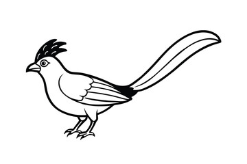 Obraz premium Elegant Black Line Art Bird Illustration Long Tail, Crest