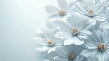 Fototapeta premium A bouquet of white flowers is arranged in a vase