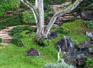 Balanced and Colorful Zen Garden Scene with Detail and Texture.