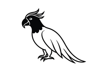 Obraz premium Black and White Parrot Illustration, Bird Graphic Design, Avian Art