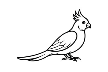 Cute Cockatiel Bird Line Art Simple, Black, White, Drawing, Pet