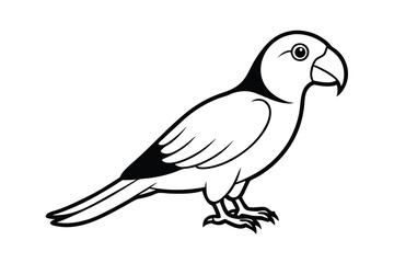 Obraz premium Black and White Parrot Illustration, Bird Drawing, Avian Artwork