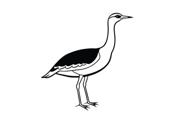 Black and White Illustration of a Majestic Houbara Bustard Bird