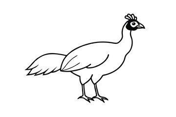 Line Art Drawing of a Female Peacock Bird Illustration