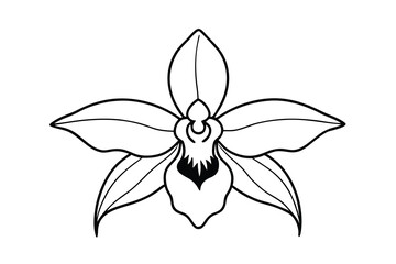 Obraz premium Elegant Black and White Orchid Flower Design Illustration