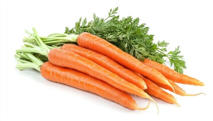 Fresh carrots with green tops (1)