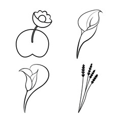 Hand-drawn vector illustration of an abstract flower with leaves and natural elements