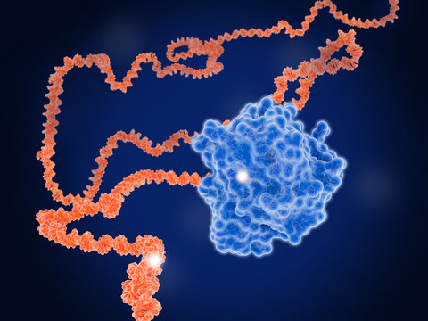 Oncogene: DNA mutation leads to mutated KRAS protein