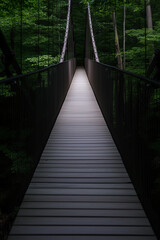 Obraz premium bridge in nature