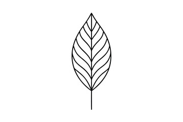 Abstract Line Art Leaf Design, Simple Nature Illustration