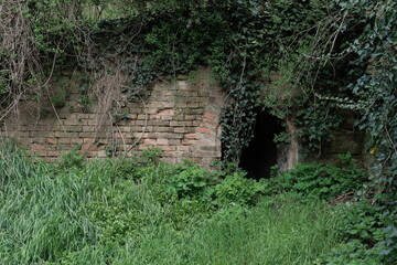 Old brick arched entrance covered in ivy and surrounded by wild grass in Petrovaradin Fortress, Serbia. Mysterious, overgrown doorway leading into a dark tunnel or underground space.