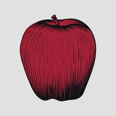 Detailed Apple Vector Illustration vintage style